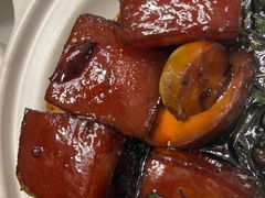 -新吉士·上海菜(浦东LCM置汇旭辉店)