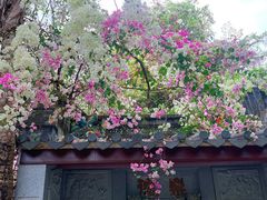 -深圳国际园林花卉博览园