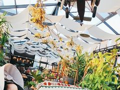 -北马山庄植趣咖啡