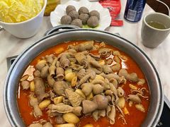 -彭记铁锅肥肠(东四总店)