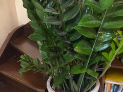 -张钰强中医正骨推拿连锁(华发商都店)