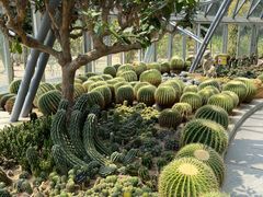 -深圳仙湖植物园
