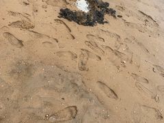 -天津东疆湾沙滩景区