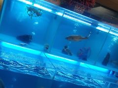 -怡咖啡·自助餐·西安香格里拉