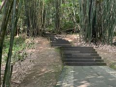 -凤栖山
