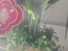 -洛阳宴·洛阳菜(南昌路店)