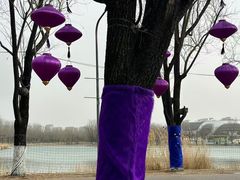 -朝阳公园游乐园