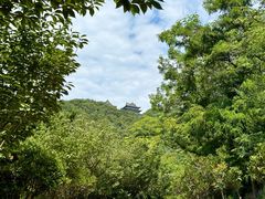 -石老人观光园