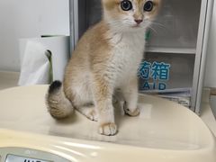 -宠颐生中康贝怡动物医院
