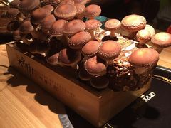 -大头椰·椰子鸡火锅(南宁万象城店)