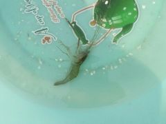 -星巴克(杭州塘栖古镇店)