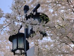 -苏州上方山国家森林公园