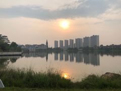 -美的鹭湖森林度假区