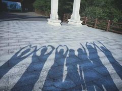 -羚羊峡古栈道森林公园