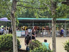 -渔岛海洋度假区