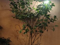 -鹅滋道(甘坑古镇店)