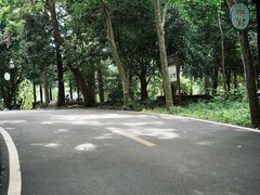 -潜山国家森林公园