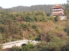 -水濂山森林公园