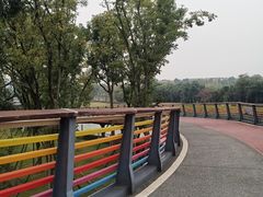 -府河摄影公园