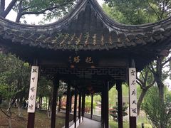 -苏州吴宫泛太平洋酒店