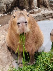 -Zoolung Zoolung动物主题公园(海信广场店)