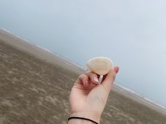 -南澳海滩