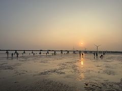 -南汇新城海滩
