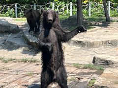 -常州淹城野生动物世界