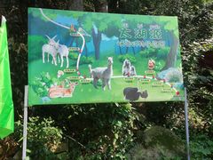 -太湖源风景区