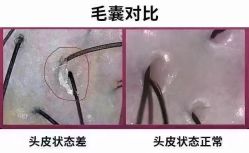 -木北造型