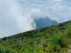 -秦岭风景区