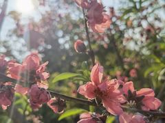 -水濂山森林公园