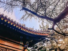 -湛山寺