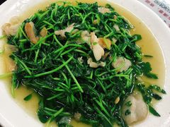 炒豆苗-正宗普宁豆干坊·洪记砂锅粥(红领巾路店)
