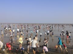 -南汇新城海滩