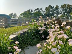-嬉乐湾休闲旅游区