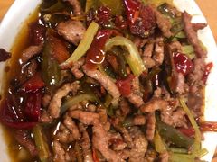 泡椒牛肉丝-人和水上飘(第一家店)