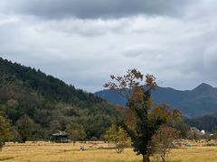 -塔川景区