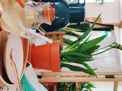 蜂蜜柚子茶-邮葭