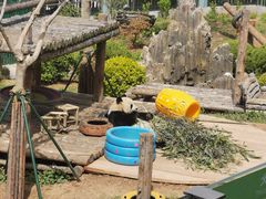 -大连森林动物园