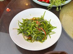 -老滇山寨•云南特色菜•地方菜•民族风情歌舞表演(金碧店)