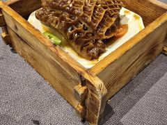 -韩上楼