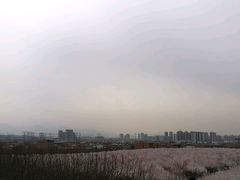 -明秦王墓遗址