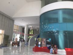 -深圳东部华侨城瀑布酒店