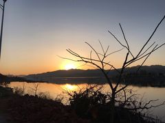-河口景区