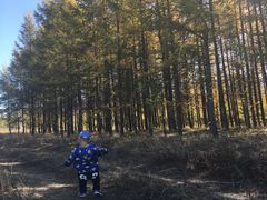 -塞罕坝国家级自然保护区