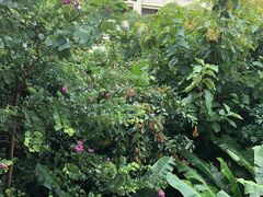 -西双版纳融创皇冠假日度假酒店