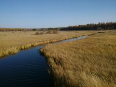 -塞罕坝国家级自然保护区