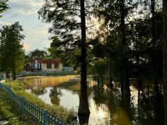 -东南花都花博园