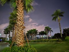 -南宁南湖公园